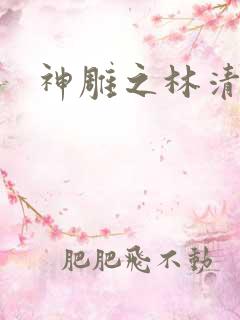 神雕之林清传