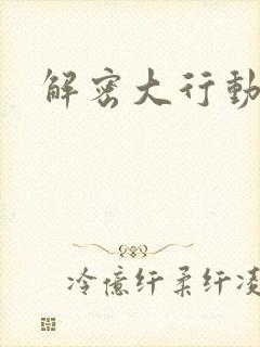 解密大行动