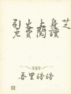 引火上身芝麻糖免费阅读