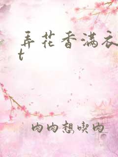 弄花香满衣txt