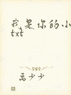 我是你的小小狗txt