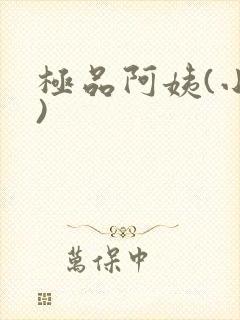 极品阿姨(小说)