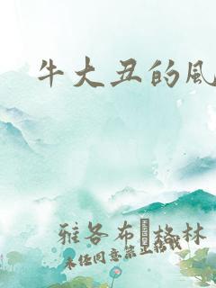 牛大丑的风流记