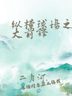 纵横球场之暴力大前锋