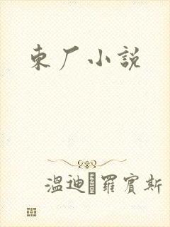 东厂小说