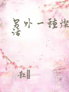 另外一种灿烂生活