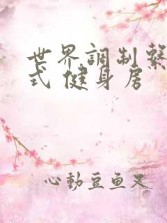 世界调制系统模式 健身房