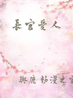 长官爱人