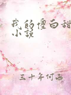 我的傻白甜老婆小说