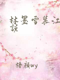 林墨雪慕江行小说