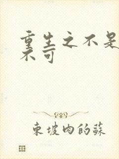 重生之不是非你不可