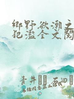乡野欲潮之春嫂犯滥全文阅读目录