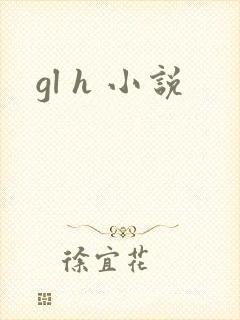 gl h 小说