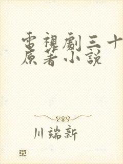 电视剧三十而已原著小说