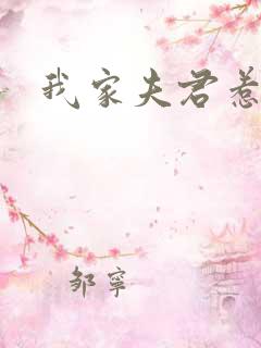 我家夫君惹不起