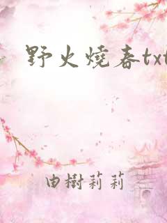 野火烧春txt