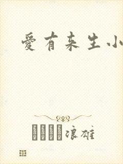 爱有来生小说