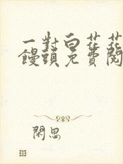 一对白花花的大馒头免费阅读