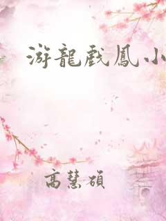 游龙戏凤小说