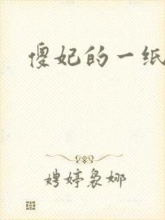 傻妃的一纸休书