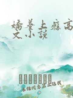 娇养上瘾高H爽文小说