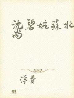 沈碧婉苏北宸和尚