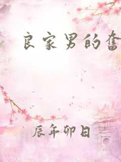 良家男的奋斗史