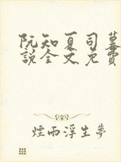 阮知夏司暮寒小说全文免费