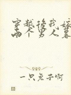 穿越后我嫁给了两个男人暮色酒歌