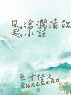 风沧澜摄政王穿越小说
