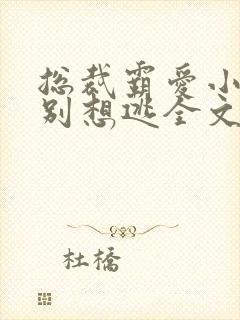 总裁霸爱小娇妻别想逃全文阅读免费