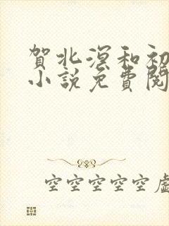 贺北溟和初夏的小说免费阅读无弹窗