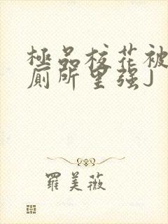 极品校花被拉到厕所里强J