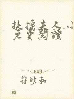 扶摇夫人.小说免费阅读