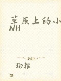 草原上的小公主NH