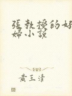 张教授的好儿媳妇小说