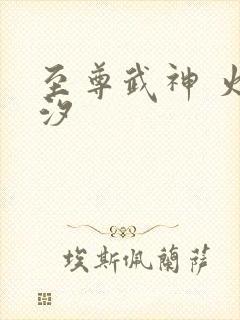 至尊武神 火龙汐