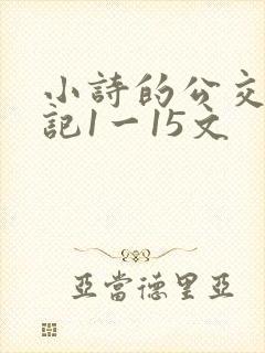 小诗的公交车日记1一15文
