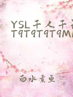 YSL千人千色T9T9T9T9MMD