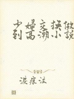 少妇交换做爰做到高潮小说