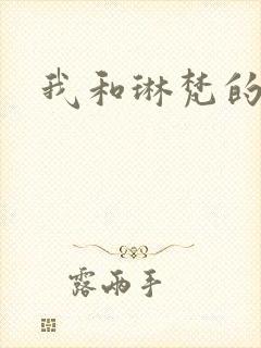 我和琳梵的故事