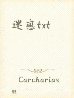 迷恋txt