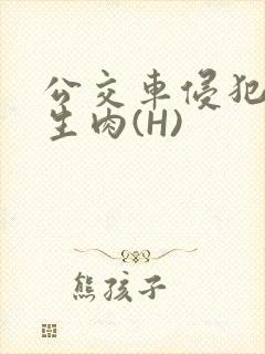 公交车侵犯小男生肉(H)