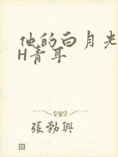 他的白月光HVH青耳