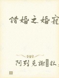 错婚之婚宠一世