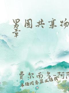 男团共享物第一章