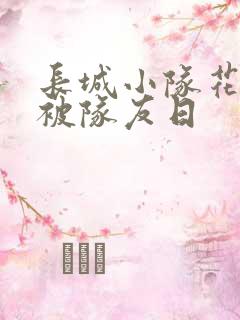 长城小队花木兰被队友日