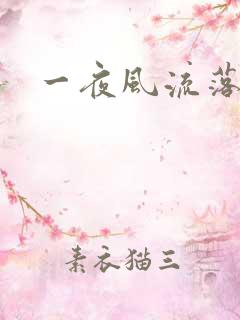 一夜风流落裔