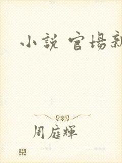 小说 官场新贵
