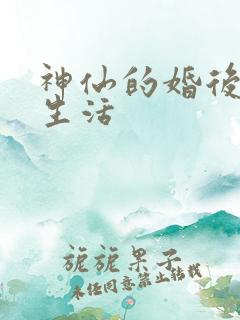 神仙的婚后都市生活